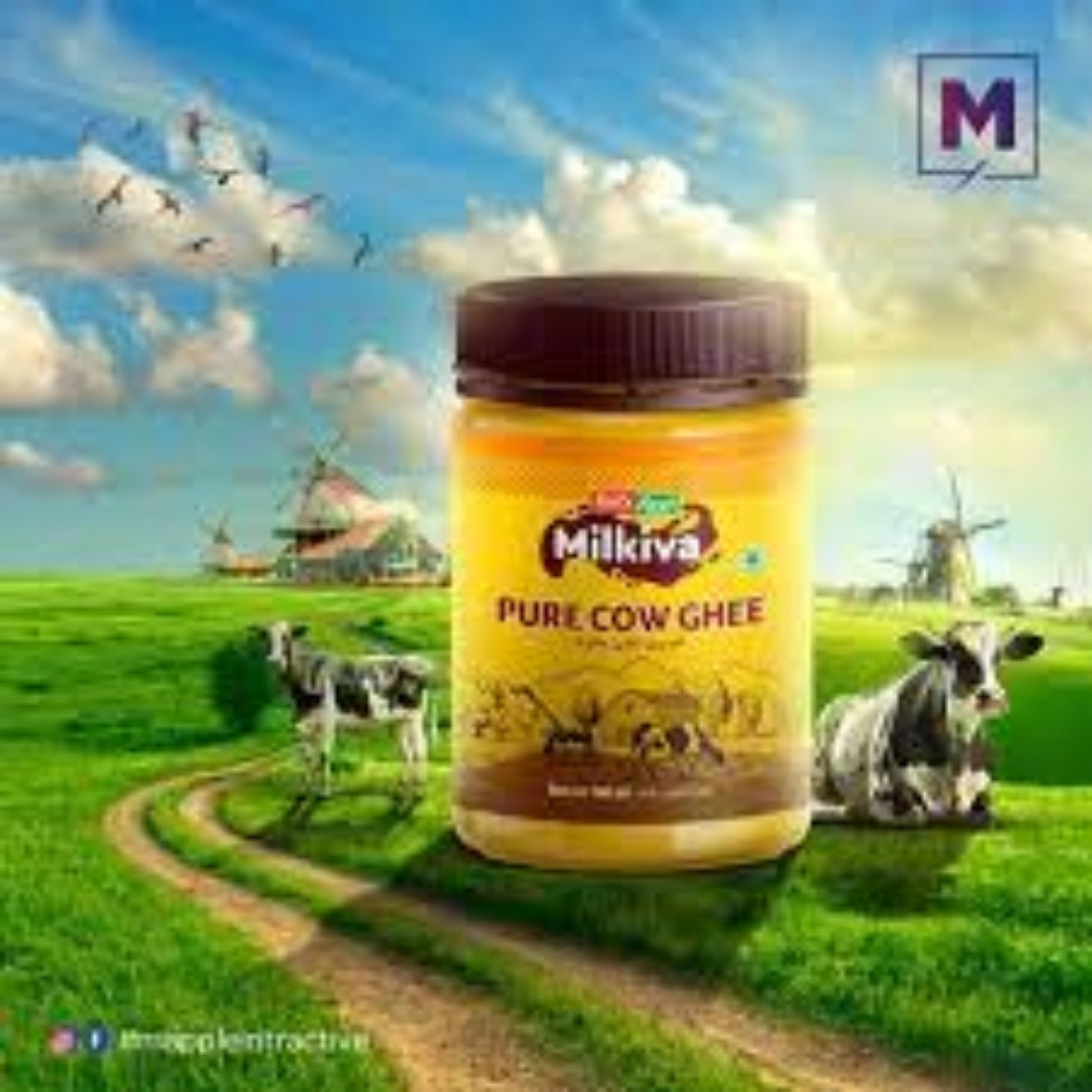 Tasty Food milkiva pure cow Ghee 500ml
