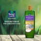 Parachute Advansed Rosemary enriched Coconut Hair Oil For Promoting Hair Growth 300ml