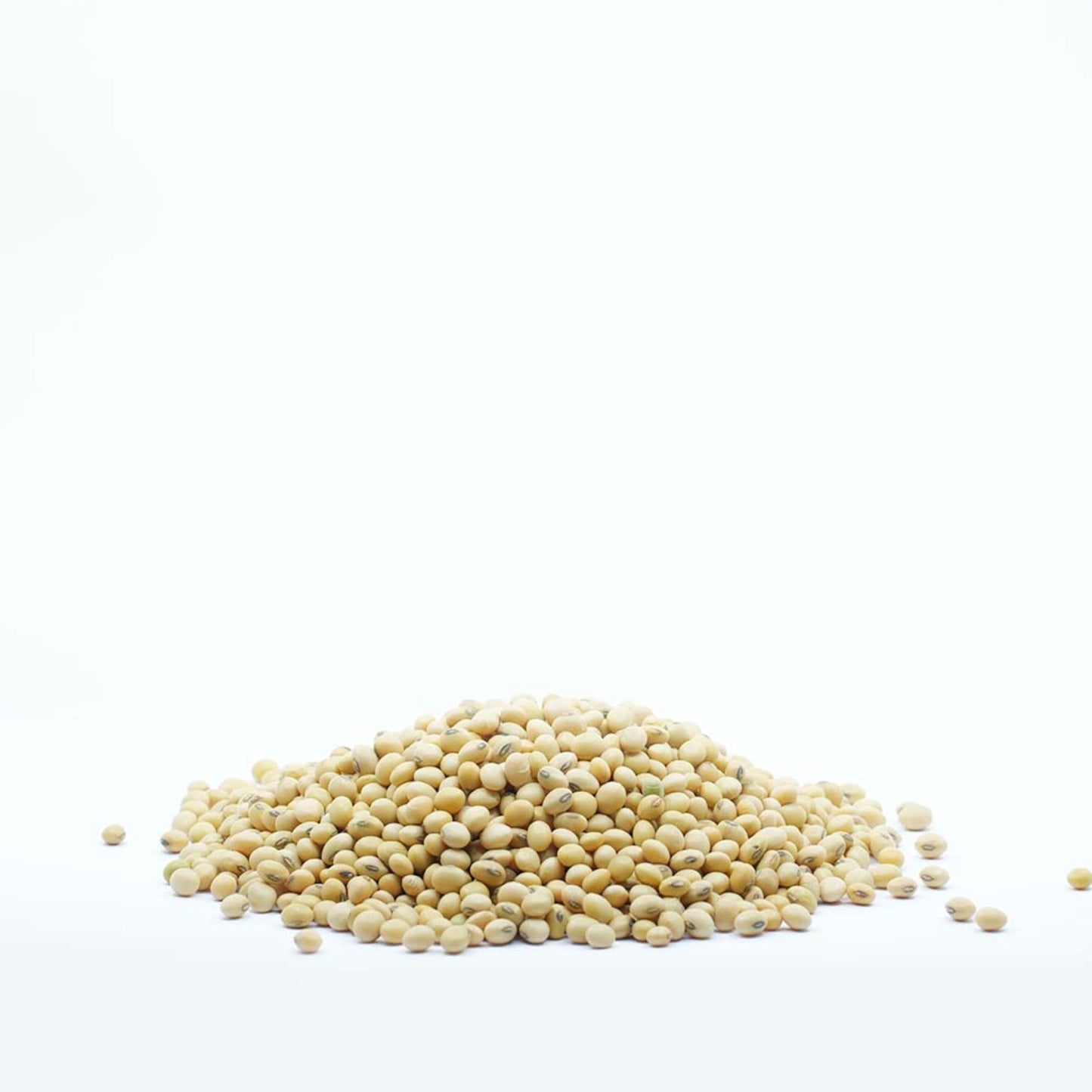 tasty food Soya Bean Whole 500g