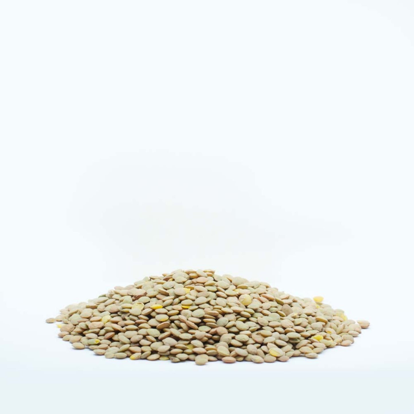 tasty food Green Lentil 450g