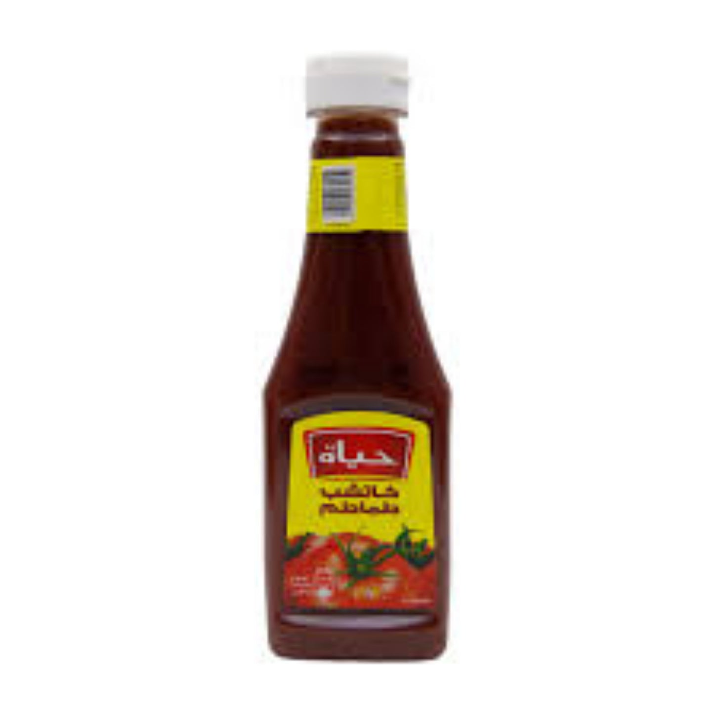 Hayat Tomato Ketchup 340g