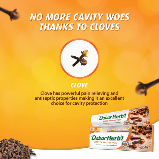 Dabur Herbal Cavity Protection Clove Toothpaste (150g + Toothbrush) .