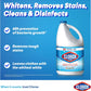 Clorox Liquid Bleach Original